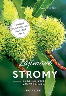 Zajímavé stromy - 40 druhů, které vás nadchnou